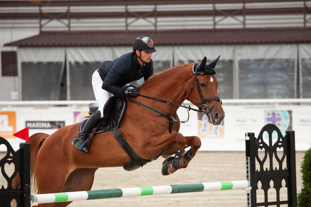 VAM Horses Cup will be organised on the show in Kursk!