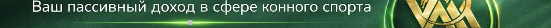 VAM Инвест