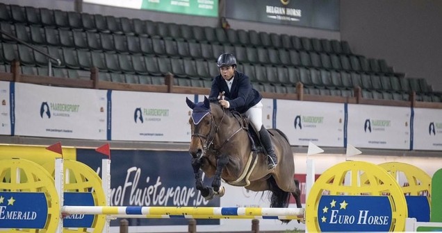 Belgian stallion competition