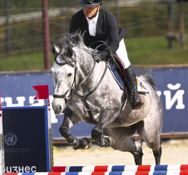 130. Mr. Grey de Jolie Z