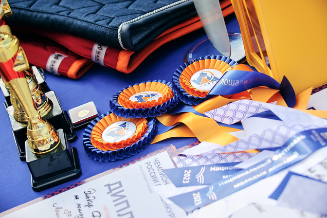 VAM Horses - the partner of Young Horses Festival!